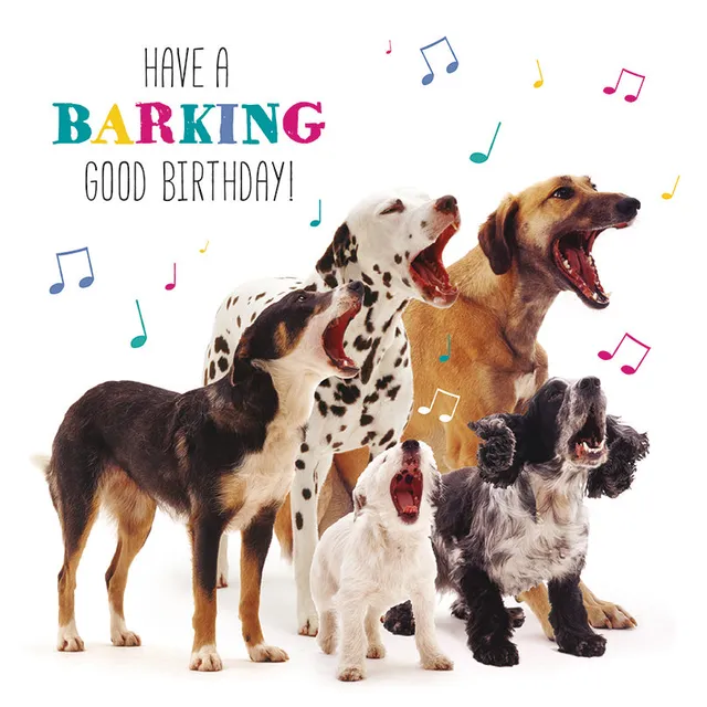 otter-house-pet-pawtrait-dog-song-geburtstagskarte-hund image 1