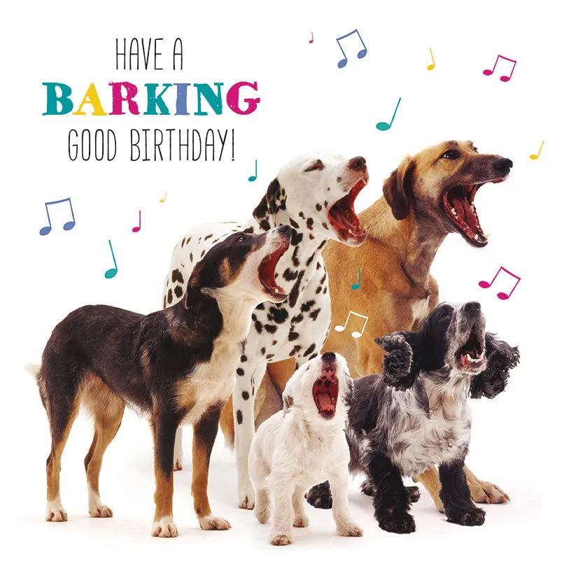 otter-house-pet-pawtrait-dog-song-geburtstagskarte-hund image 1