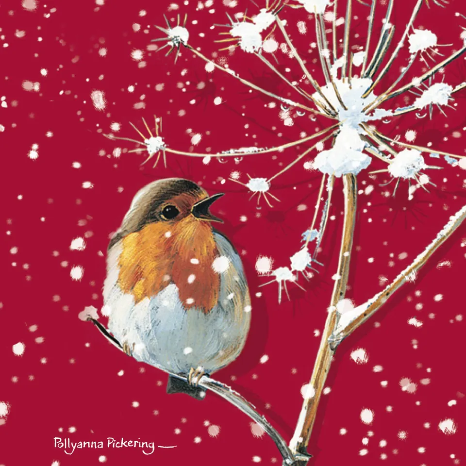 otter-house-red-robin-weihnachtskarten-set-rotkehlchen image 1