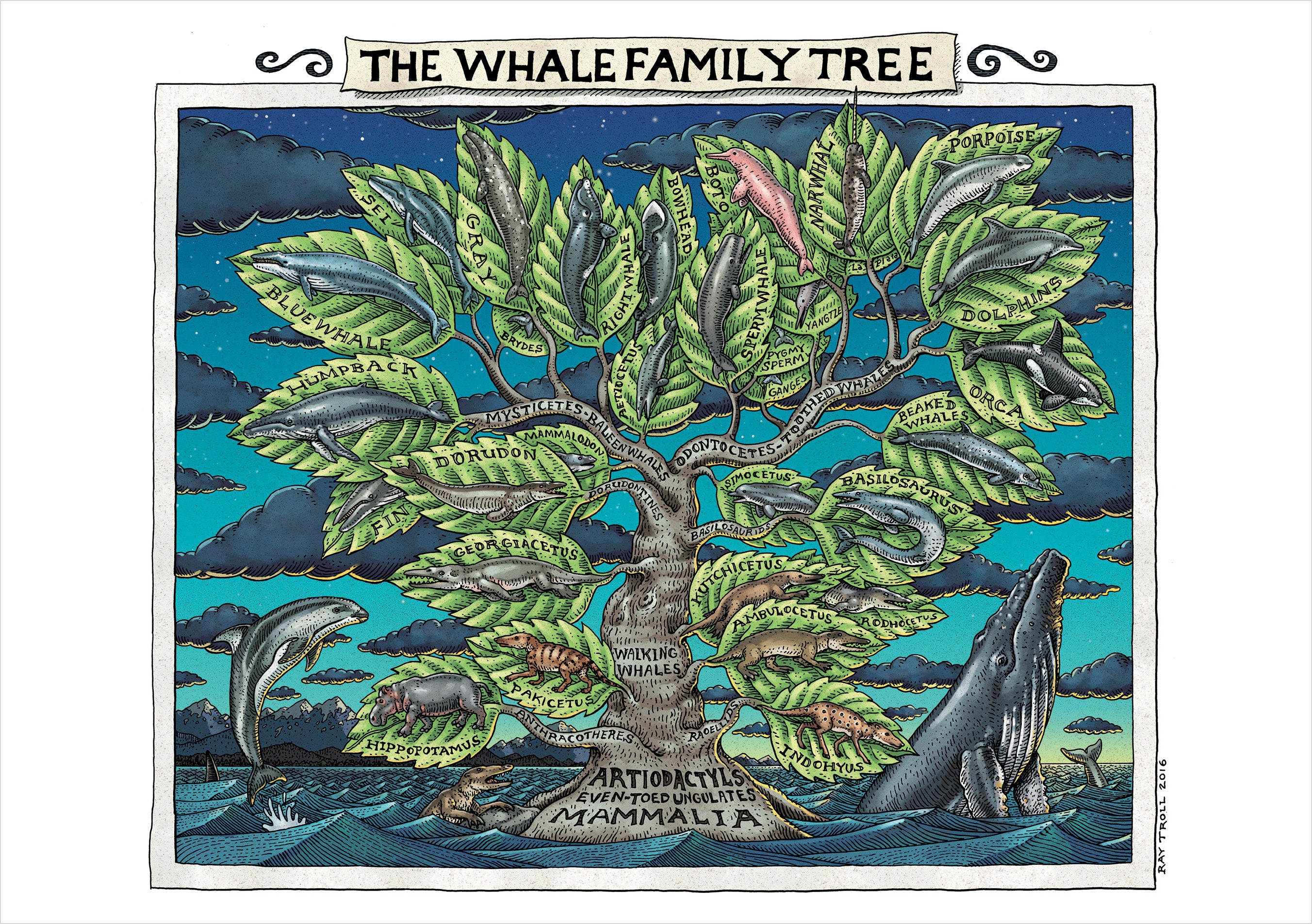 pomegranate-blank-notecards-ray-troll-whale-klappkarte-blanko-wale image 1